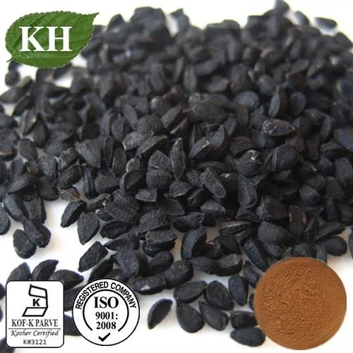 Natual Nigella Sativa Black Cumin Seed Extract 5% Thymoquinone Powder