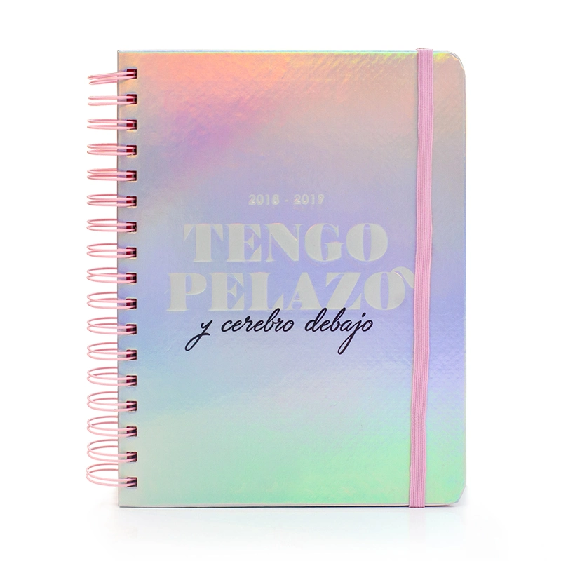 OEM Weekly Monthly Planner Simplified Notebook with Tabs for Daily Used