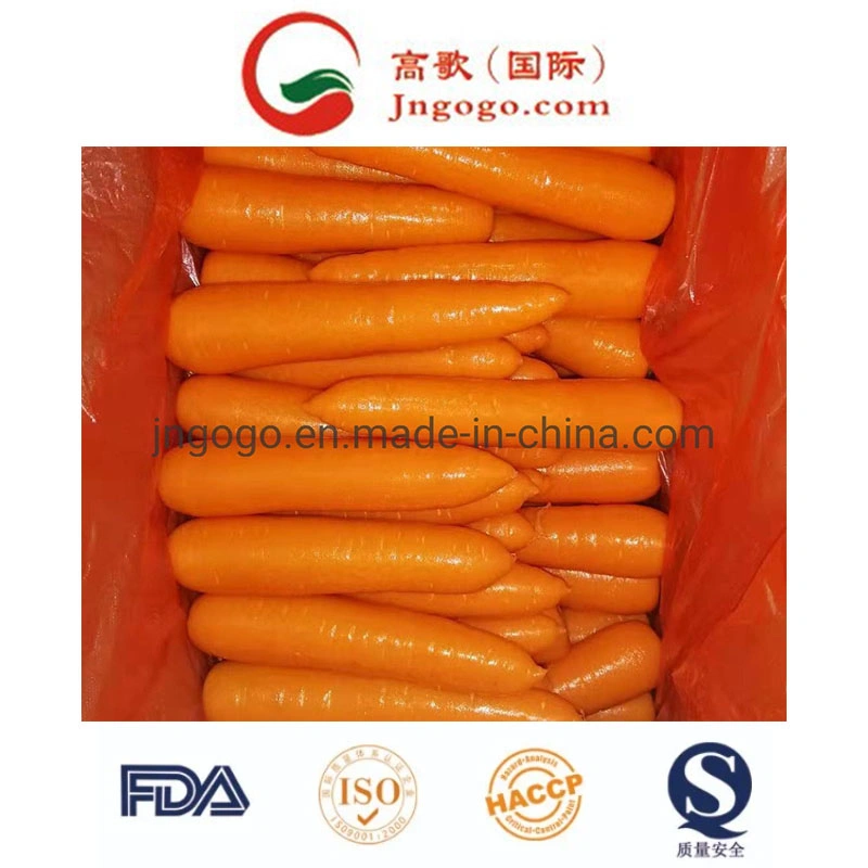 Excellent and Super Fresh Carrot From China