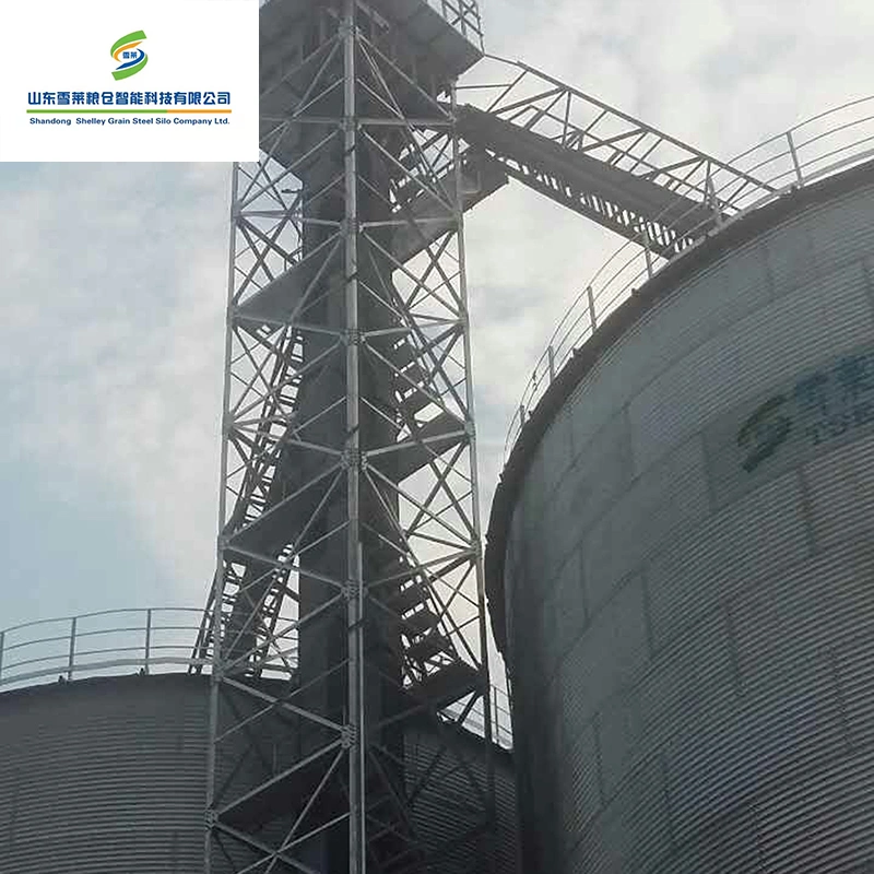 Wood Pellet Mill Grain Storage Silos Used Steel Wheat Corn Paddy Rice Grain Silo for Sale