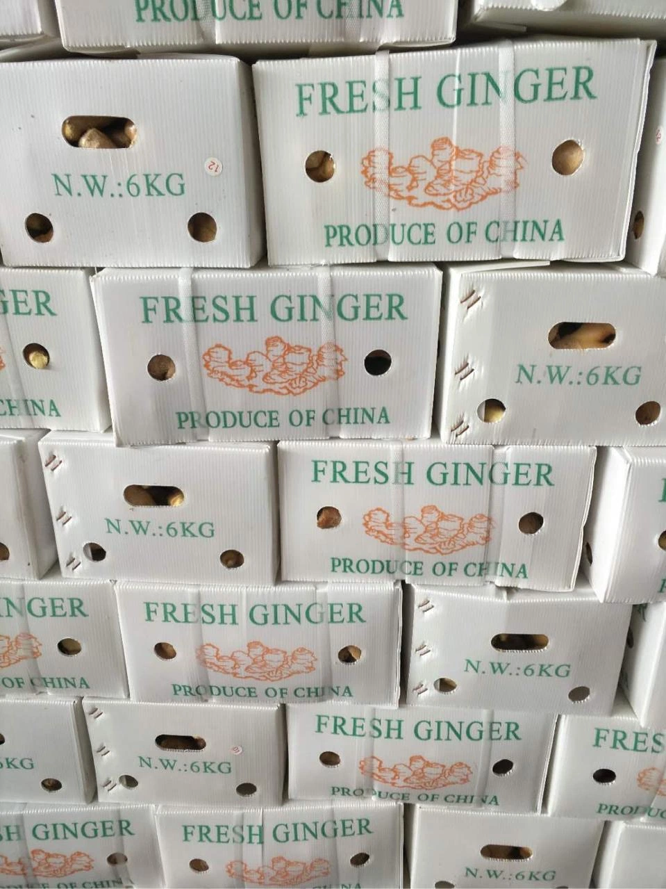 High quality/High cost performance  Dried Ginger Market Price