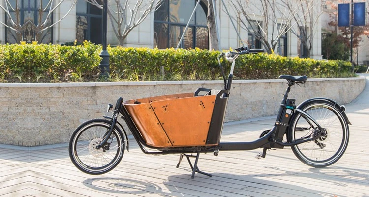 China Made Europe with CE Electric Two Wheel Cargo Bike