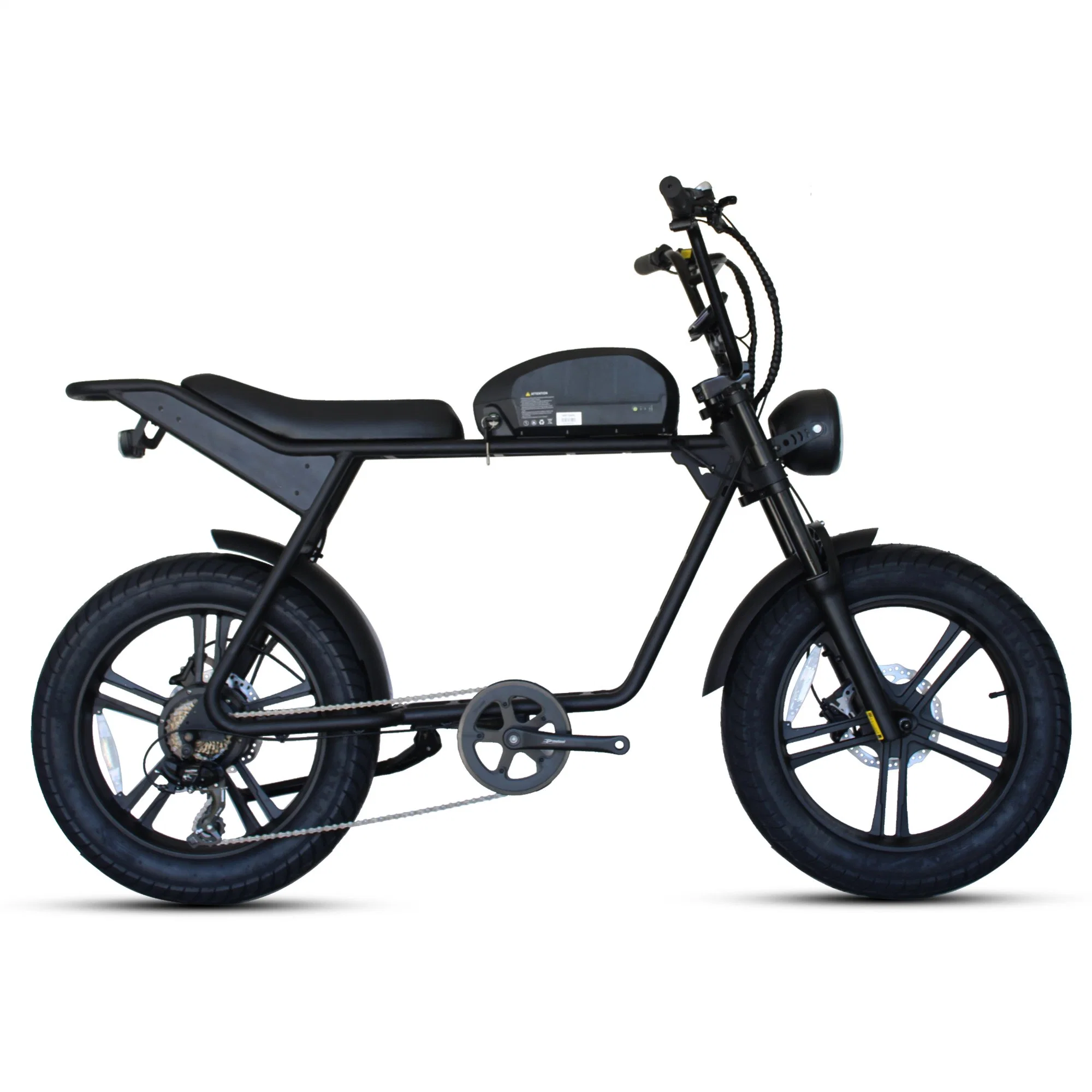 48V 750W 1000W Retro E-Bike Electric Cycle Road Dirt Fat Tire E Bike Ebike Electric Mountain Bike