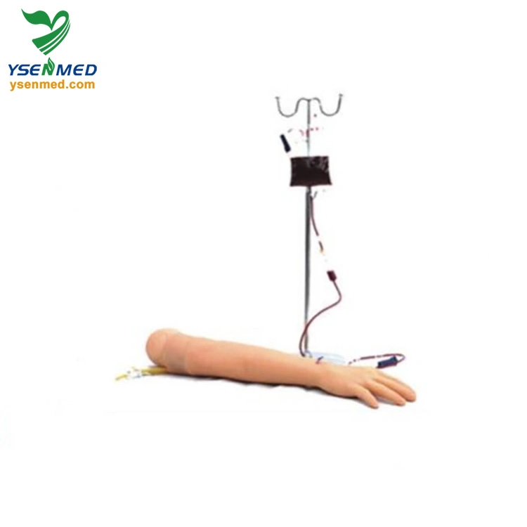 Medical Equipment Ysbix-HS2 Advanced Arm Venipuncture and Deltoid Muscle Injection Model