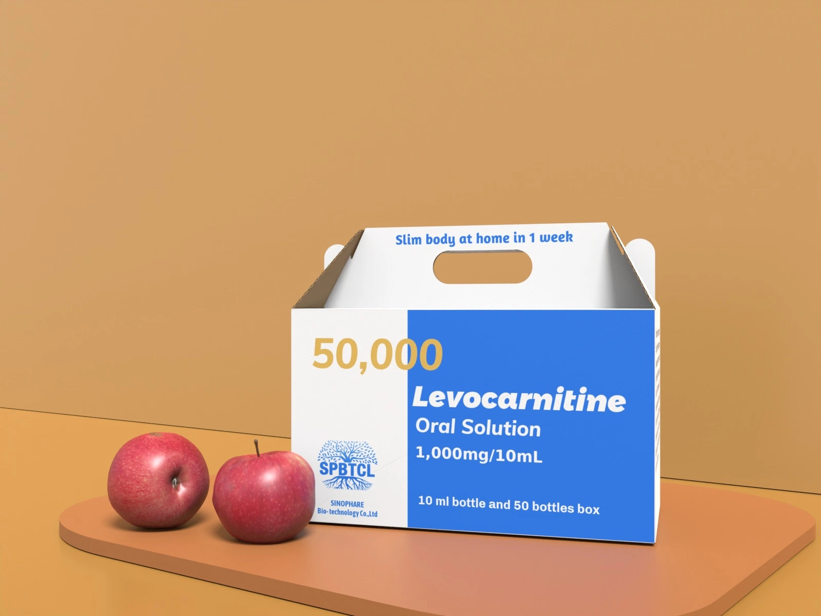 Healthcare Lcarnitine 1000mg/10ml Lose Weight Western Medicines OEM for Skin