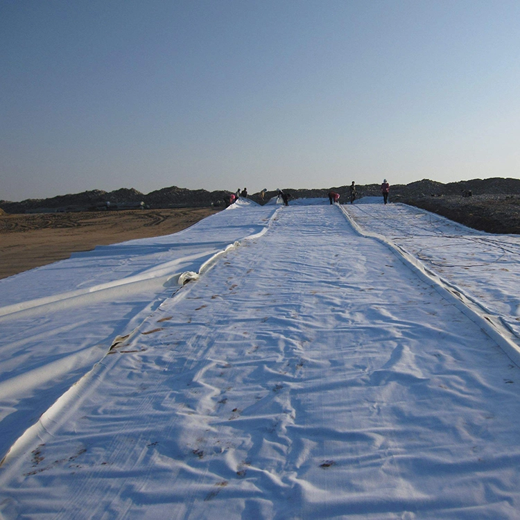 Non Woven Polyester Staple Fiber Filter Fabric PP Polypropylene Fiber Geotextile Felt for Road Construction Project in Vietnam