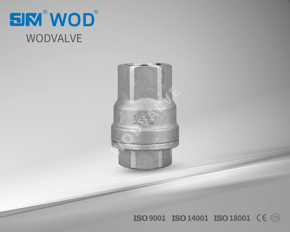 Hot Sales DN25 Stainless Steel 304 Spring Lift Check Valve