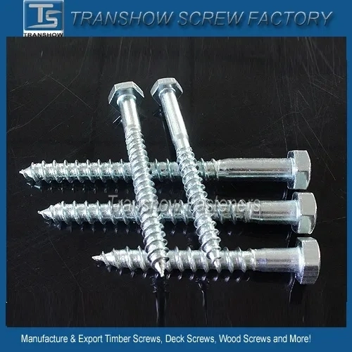 ASME B18.2.1 Hex Lag Wood Screw