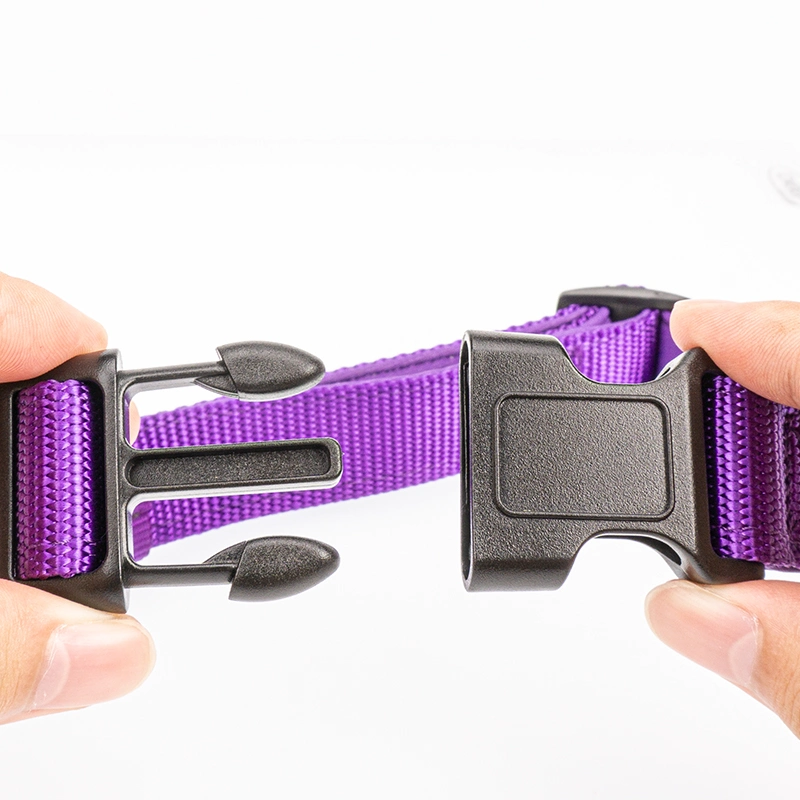 Wholesale/Supplier Pet Supply in Stock Nylon Neoprene Small POM Buckle Nylon Dog Collar