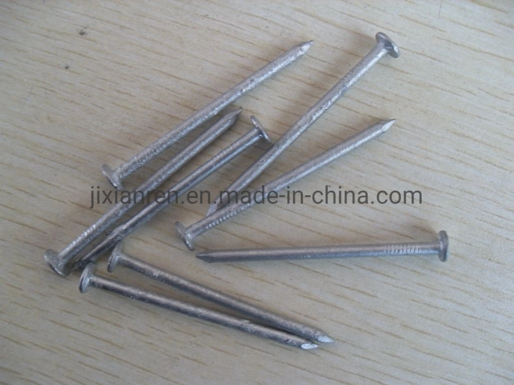 16D (2-1/2") Hot Dipped Galvanized Box Nails