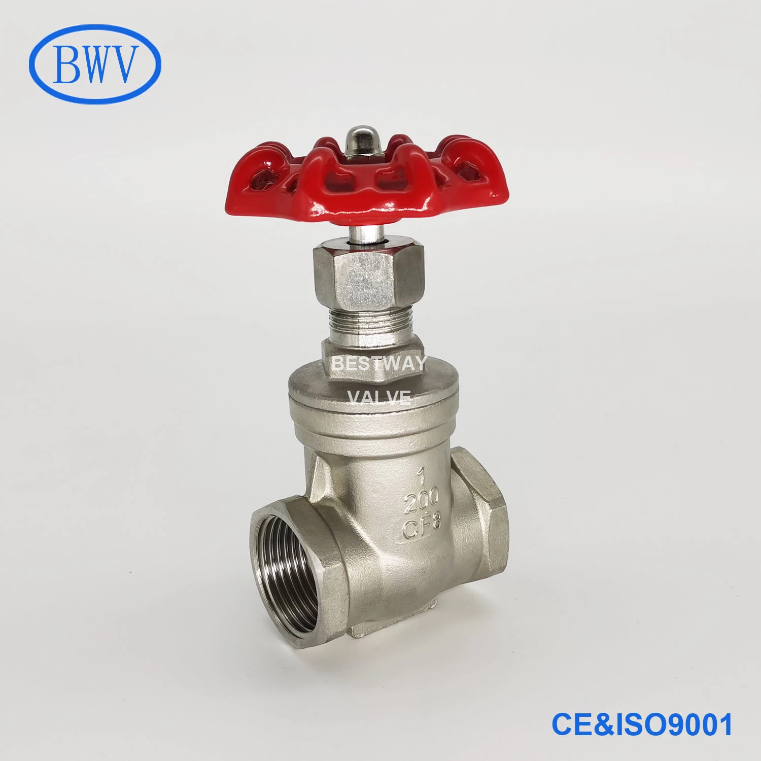 304 316 200psi/Pn16 Non Rising Stem Threaded Stainless Steel Gate Valves