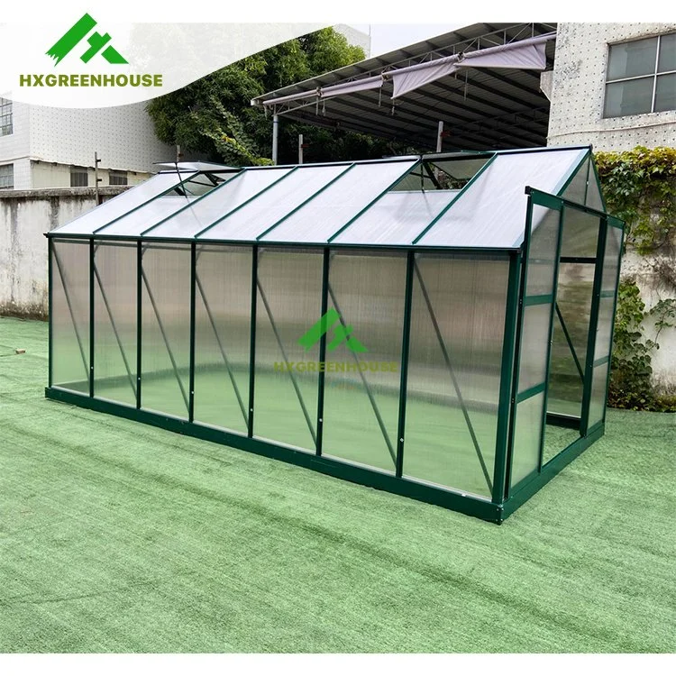 Bon marché large 10m isolé profil aluminium Green House Metal Frame Singlespan Chine tomates Agriculture Greenhouse