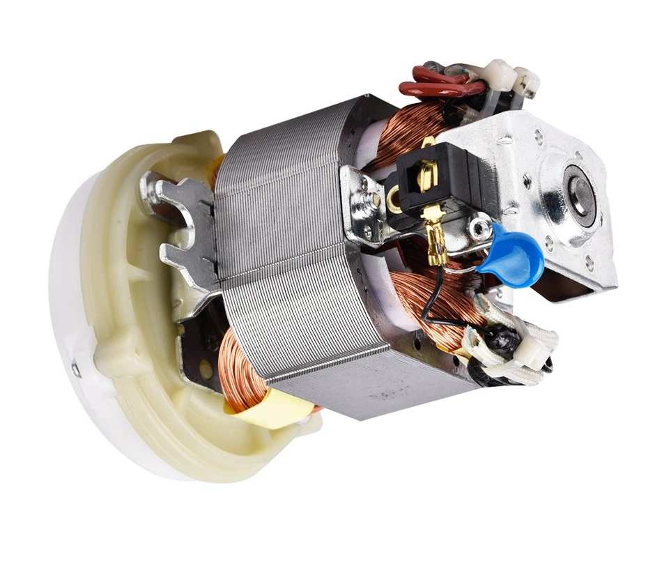 5425 High Torque 220V AC Brushed Gear Electrical Motor for Meat Grinder/Soymilk Machine