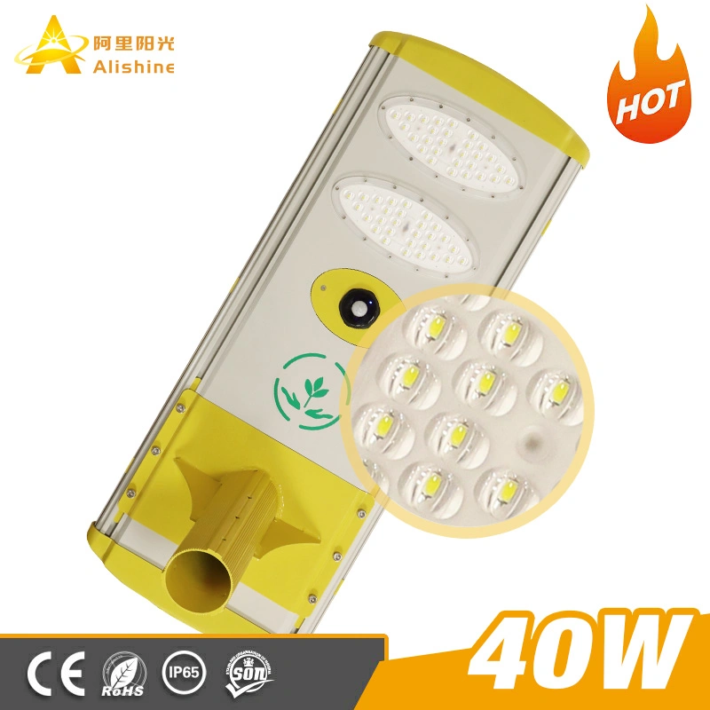 Private Module 40W All in One LED Solar Street Light