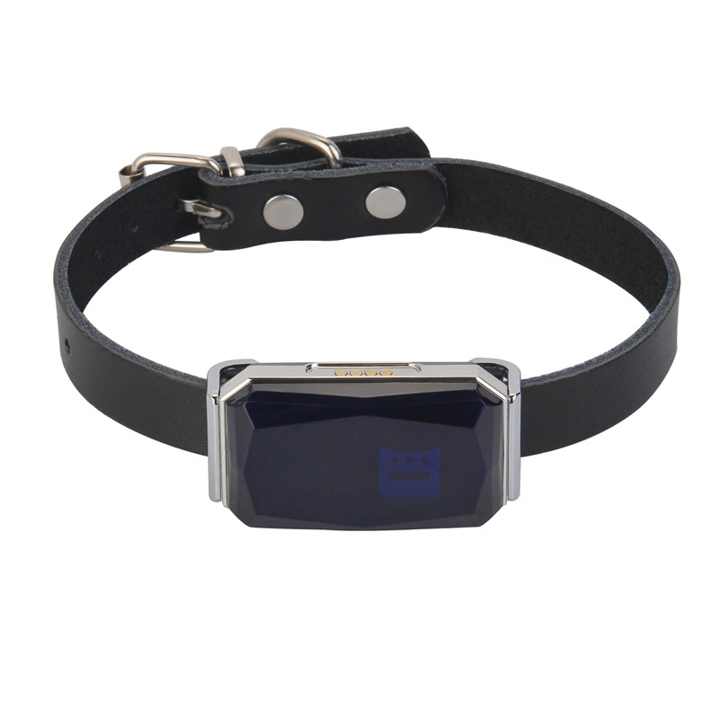 Nouveau produit Cool Gem Pet étanches IP67 localisateur GPS Chat Chien Tracker