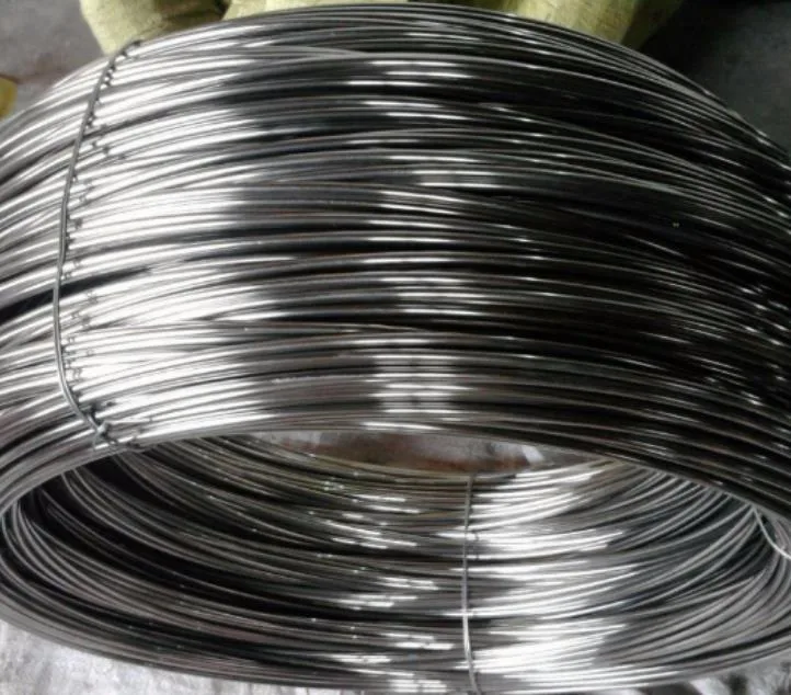 302 304 304L 316 316L Stainless Steel Inox Spring Metal Wire