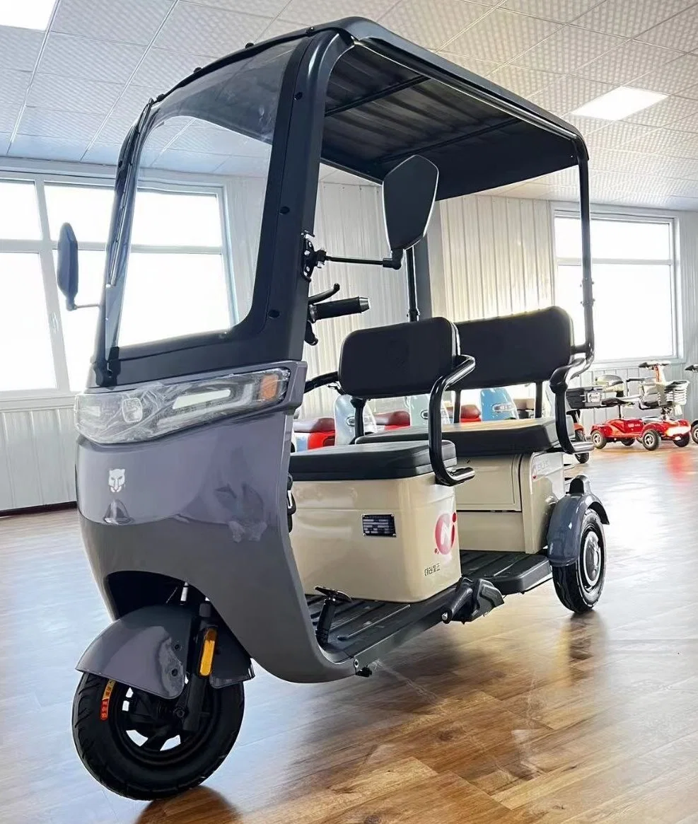 High Standard Electric Trikes Three Wheels Electric Tricycle for Travel/Cargo/Passenger