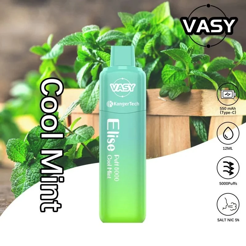 2023 New Arrival Vasy Elise 5000 Puffs Wholesale/Supplier Disposable/Chargeable Vape E Cigarette