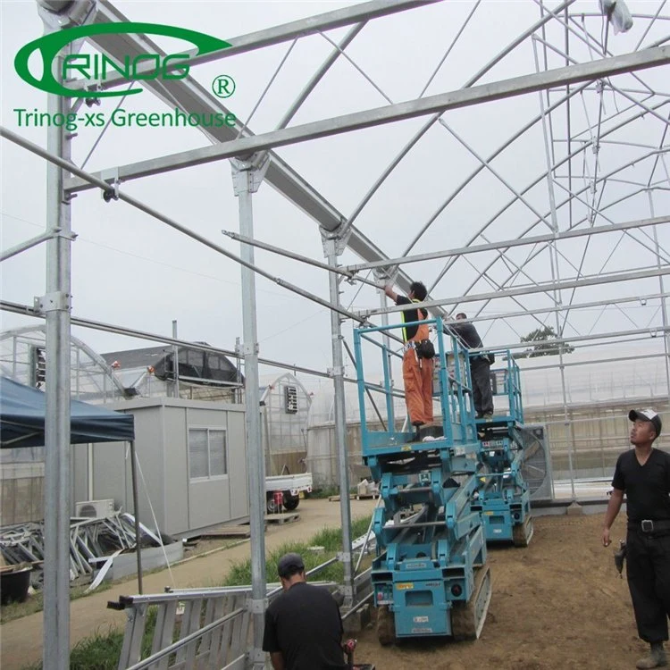 Agricultural Multi-Span Film Greenhouse with Quick Construction