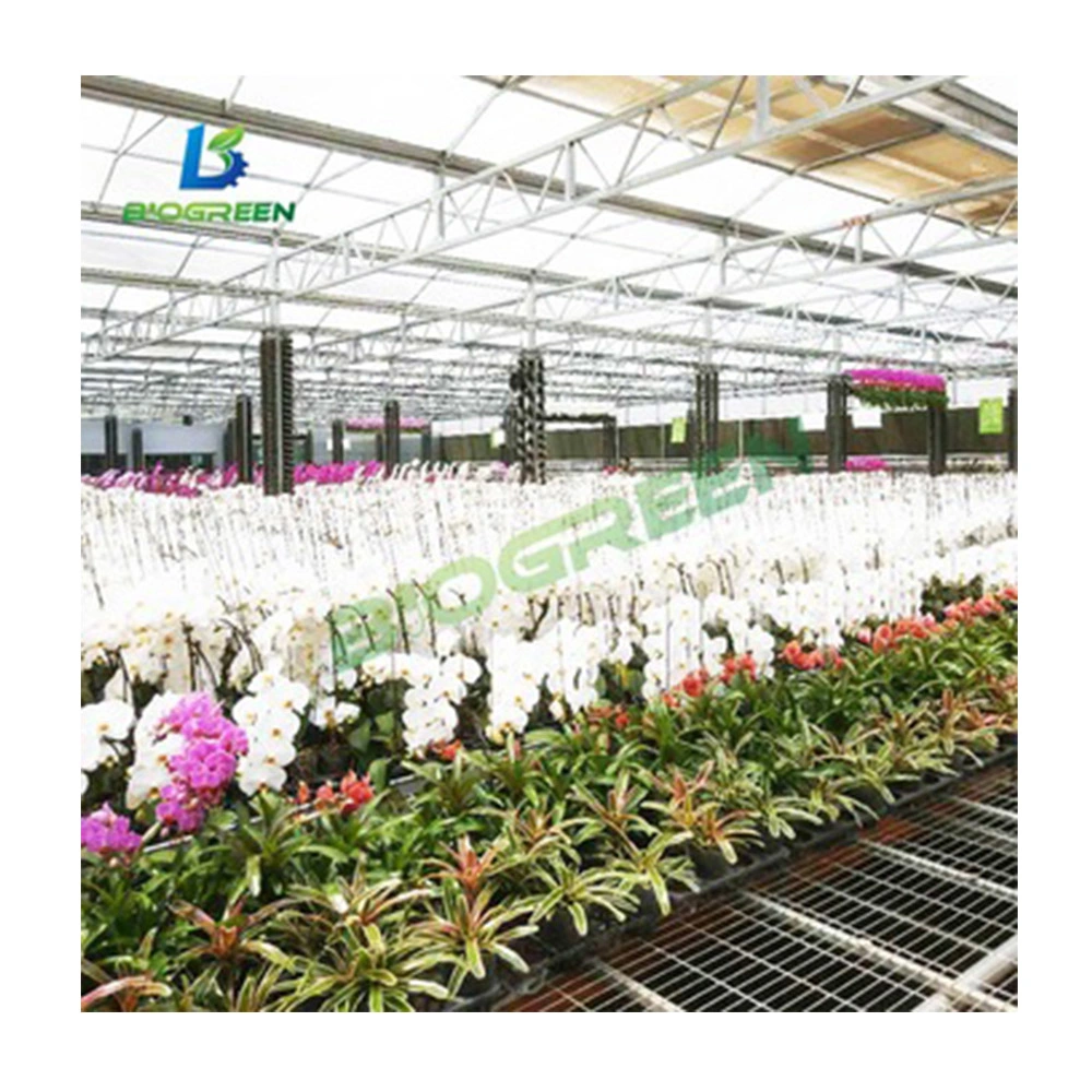 Lujo comercial planta automatizada el cultivo hidropónico de vidrio templado de la Casa Verde Multi-Span Agri