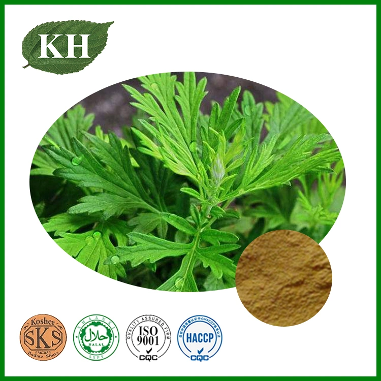 Chinese Natural Herbs Argyi Extract