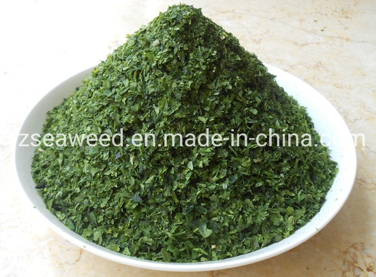 High quality/High cost performance  Sea Vegetable Dried Seaweed Alga Ulva Green Nori Chips