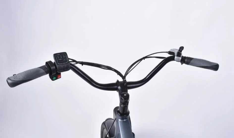 High quality/High cost performance Chinese Manufacturer Brushless Motorized Bicycle