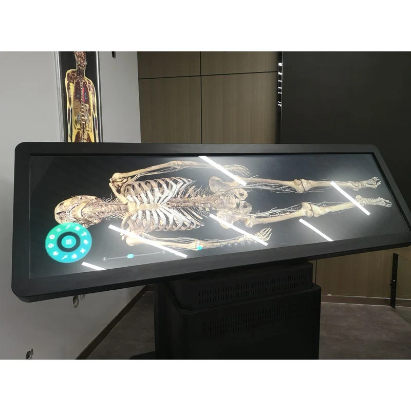 High quality/High cost performance New for University Anatomy Dissection 3D Body Virtual Autopsy Table
