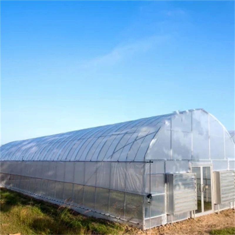 Multi Span Film Greenhouse con refrigeración/ Sombreado/riego China Supplier