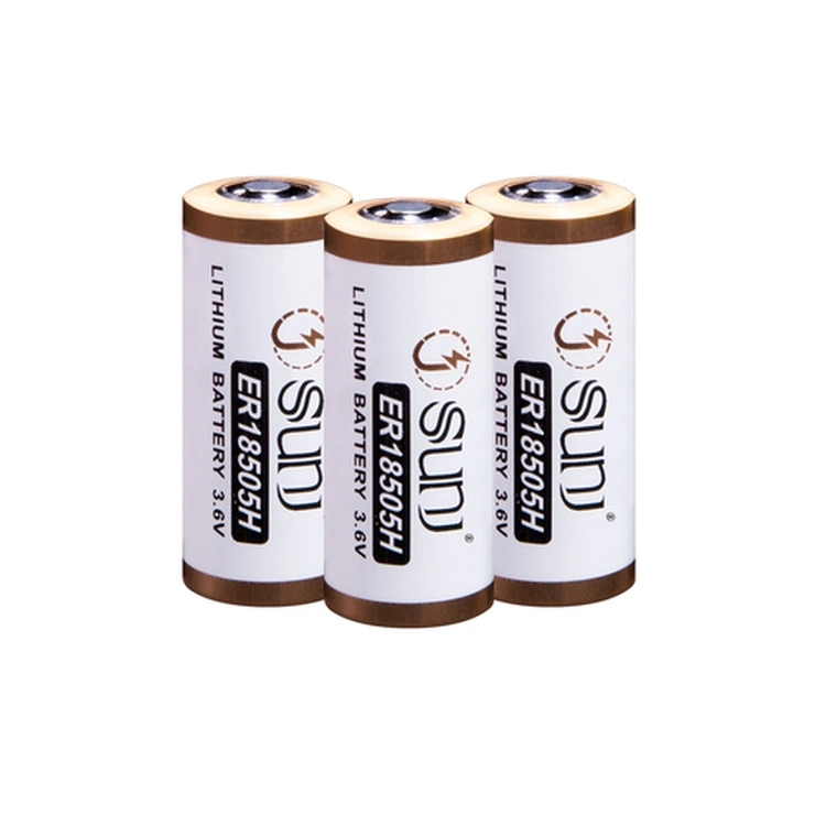 Customizable Hot Sale Cylindrical Used for Consumer Electronics Non Rechargeable High Capacity 3.6V 4000mAh Lithium Battery