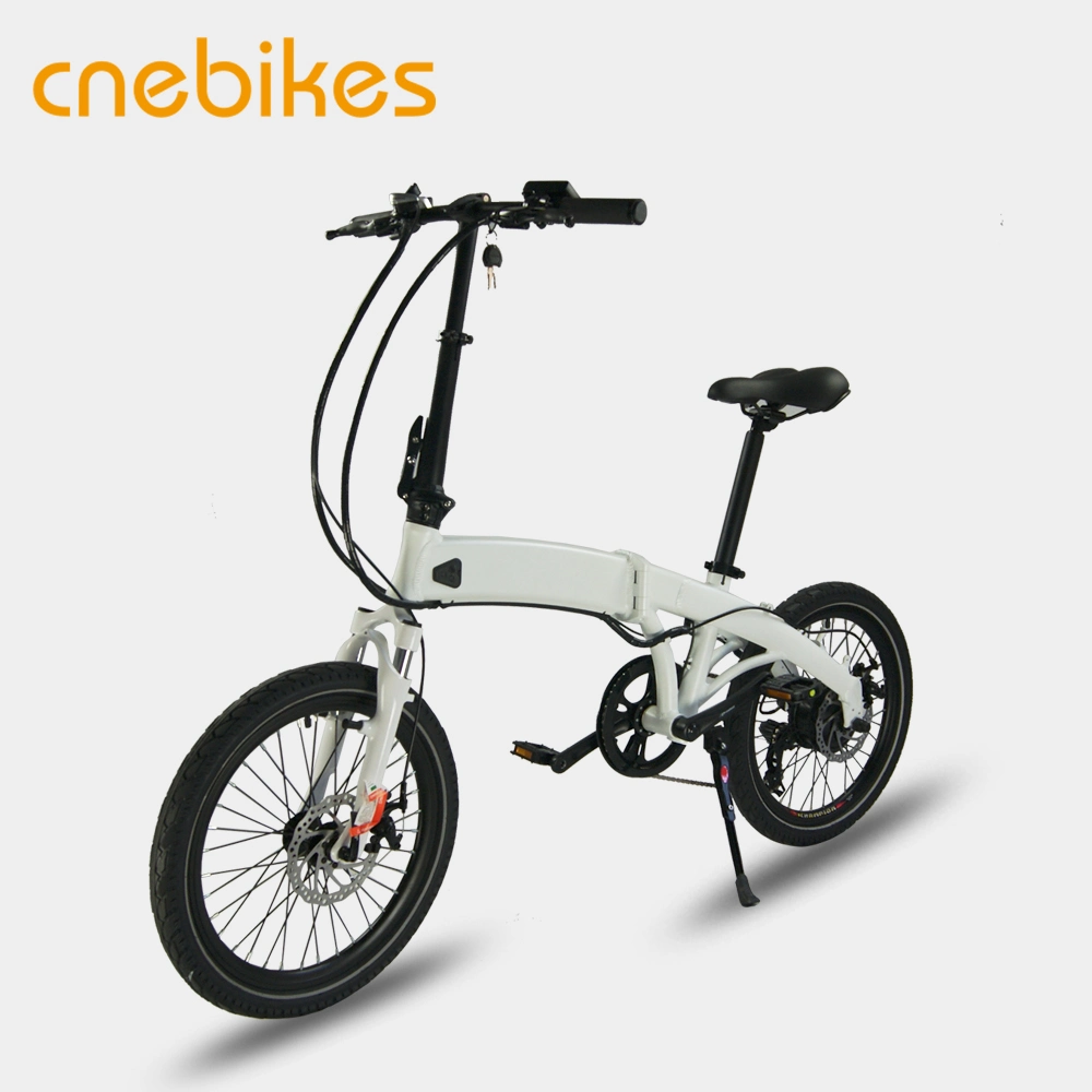 20 Inch 250W Power Mini Electric Folding Bikes