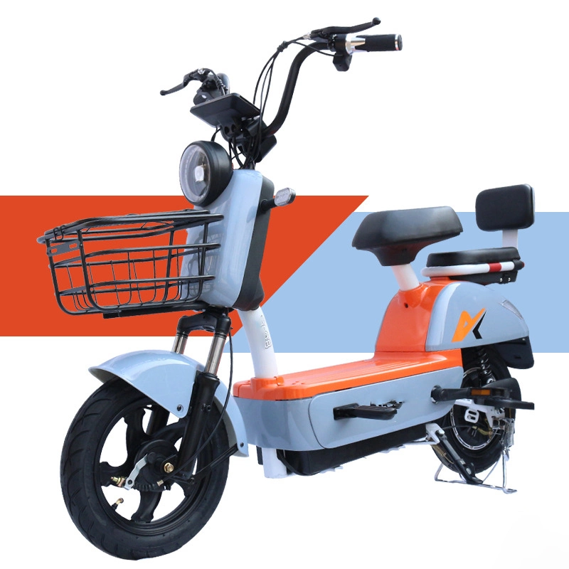 Cheap Selling in Southeast Asia and China Factories Production Electric Bicycles