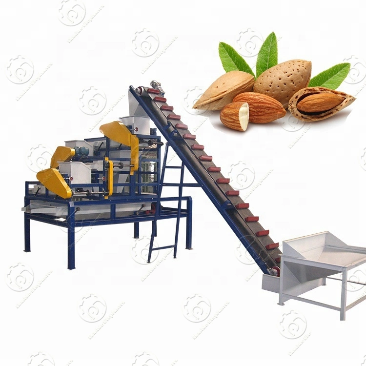 Apricot Palm Nut Peach Nut Almond Armeniaca Hazelnut Peeling Machine