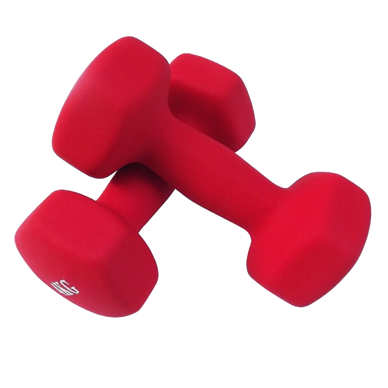 Home Gym Equipment Workouts Strength Training Hand Weight Dumbbell