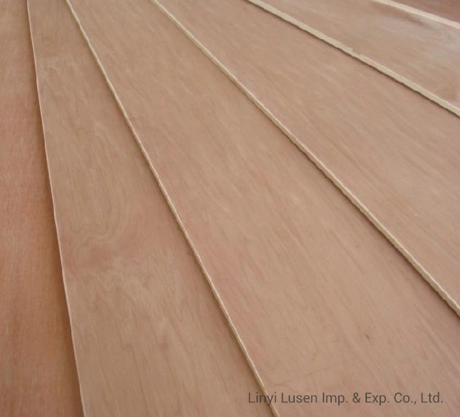 Commercial Poplar Plywood for Furniture and Packing