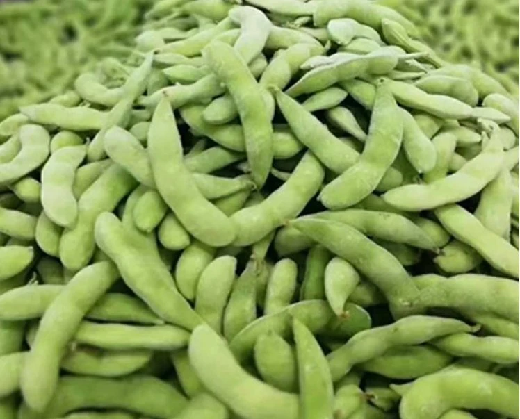 Frozen Vegetable Agricultural Industry Hot Sale High Quality Edamame Food Bean Product with FDA Certification