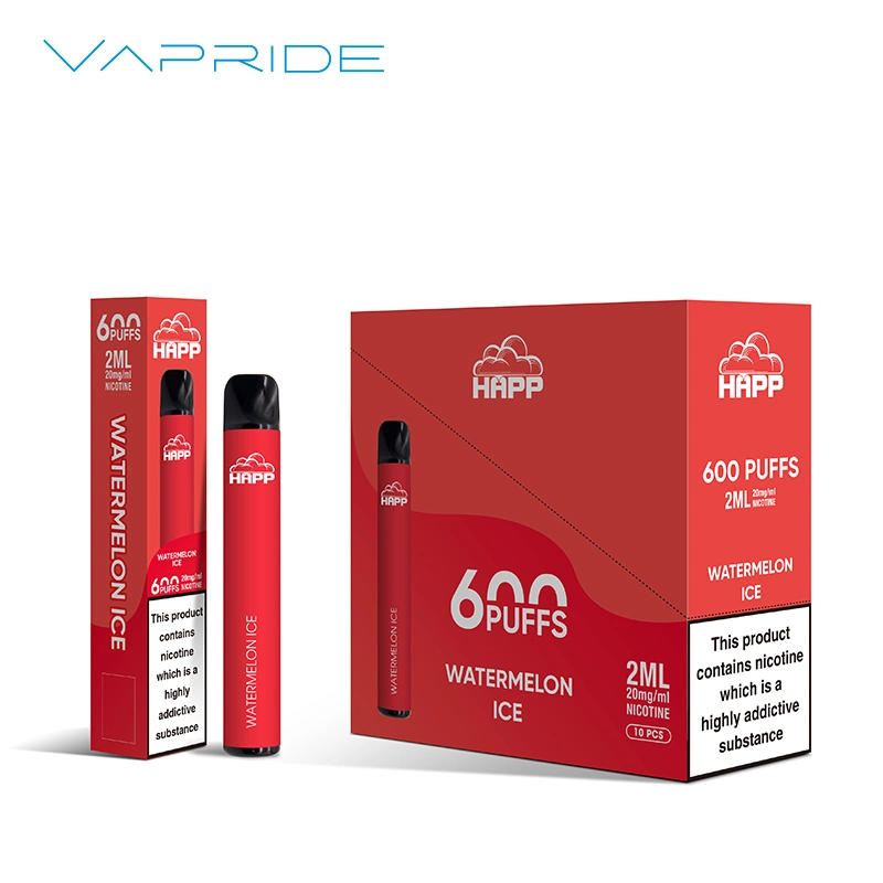 Smoking Device Vaper Vaporizer Electronic Cigarette Disposable/Chargeable Vape 600 Puff