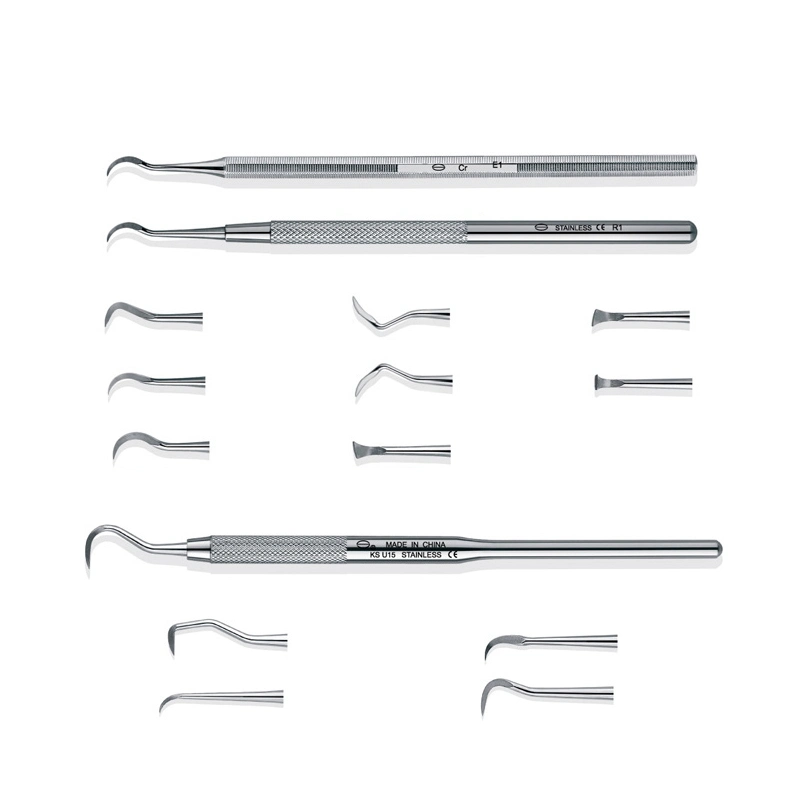 Conjunto de herramientas Higiene Dental dentista Odontología instrumentos desincrustadores