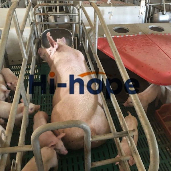 La Jaula Piggery Hog Maquinaria agrícola galvanizado en caliente de sembrar el farrowing Pen