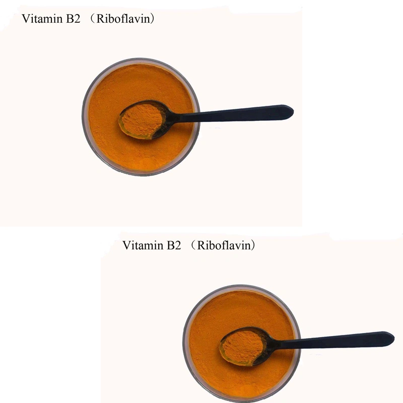 Vitamina B2 98% /80% Aditivos alimenticios para aves de corral