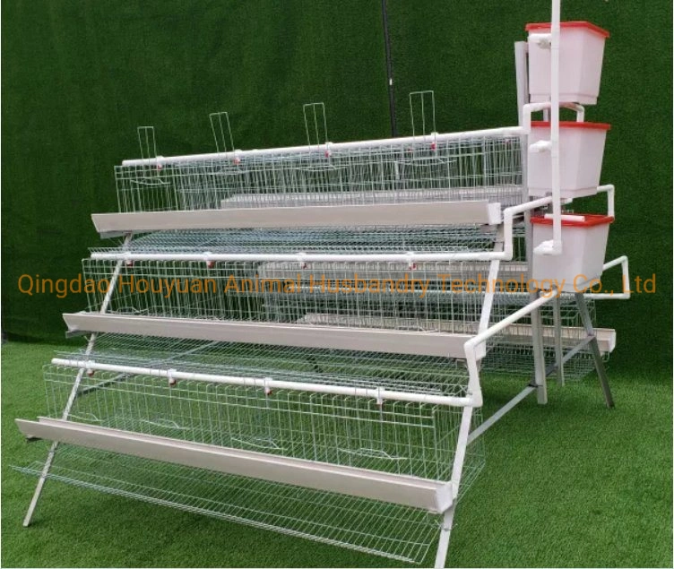 Hot Galvanized a-Style Chicken Cage with Automatic Feeding Sysytem