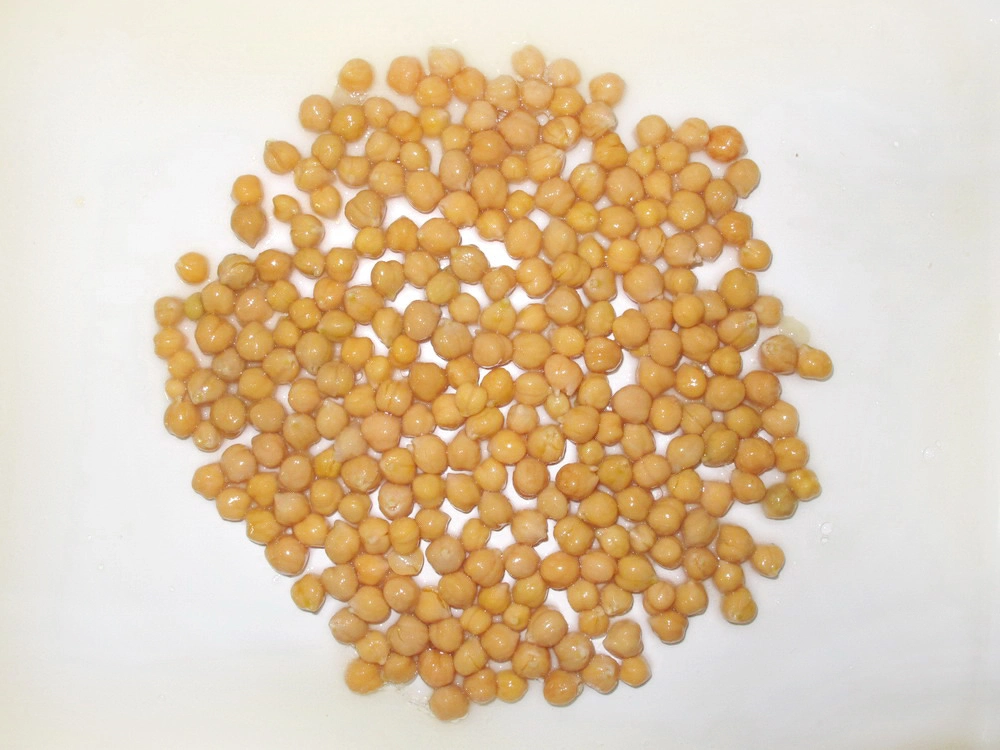 Canned Food Canned Chick Peas in High Quality From China