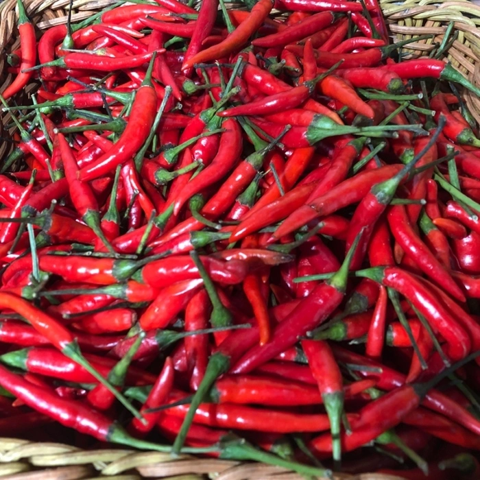 High quality/High cost performance  Dried Red Chili Pepper Price Mui Brc HACCP Kosher Certificated Henan Province