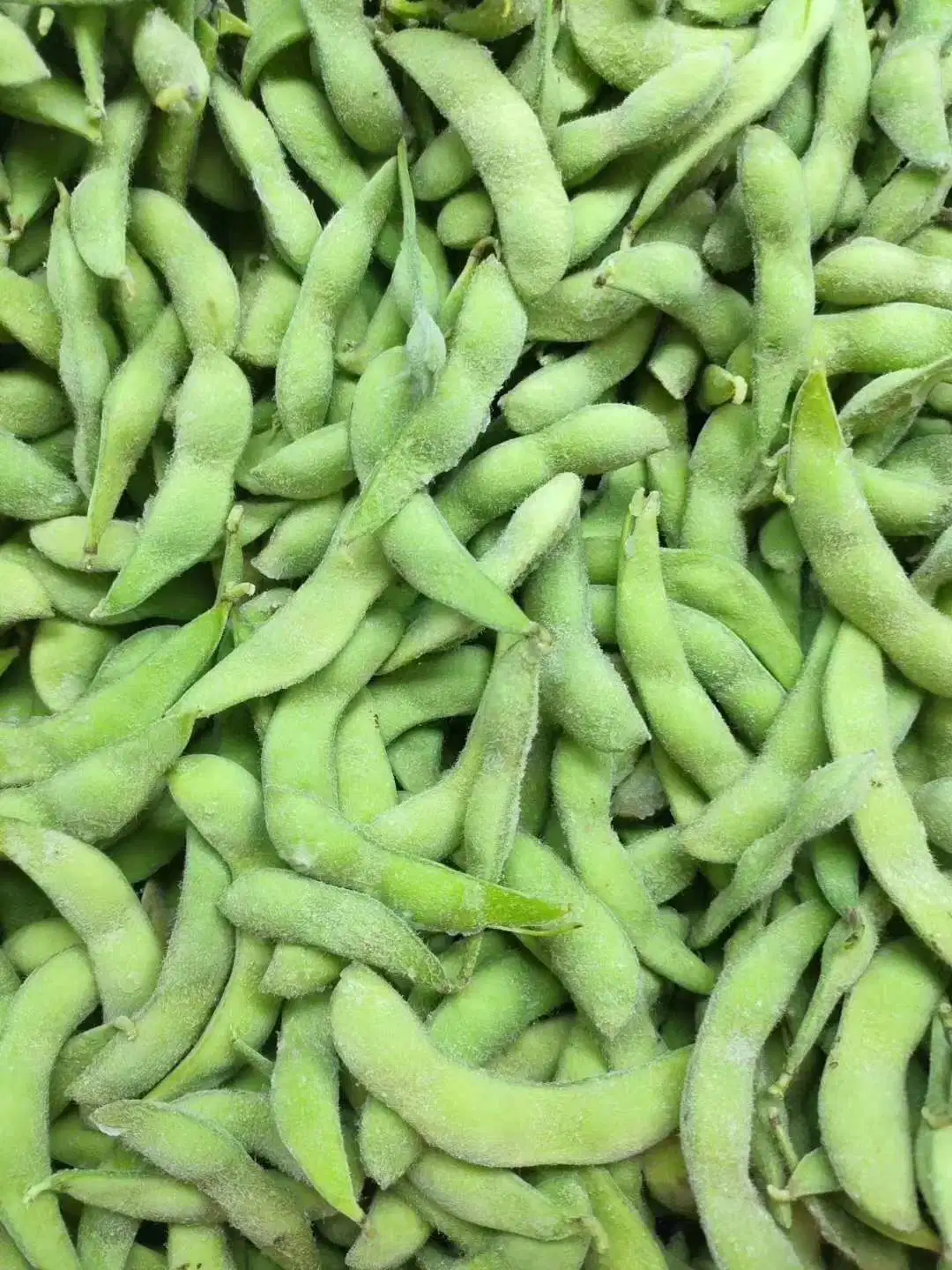 Delicious Cheap Frozen Green Soybean