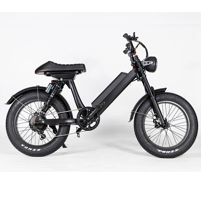 Hot Sale 48V E-Bike Racing Ebike High quality/High cost performance  Easy Ride Fat Tire Electric Bike