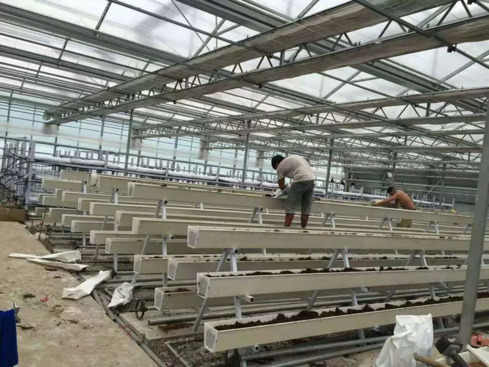 Hohe Produktion Morden Gewächshaus Erdbeere Pflanzung Rinne Hydroponic Growing System