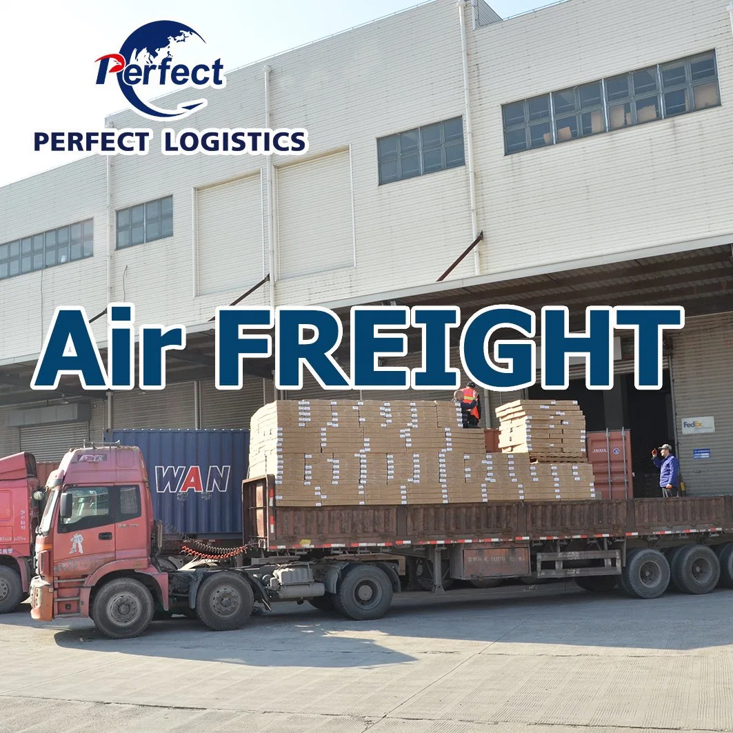 Freight Forwarder Sea Cargo Shipment Service From China to Slovenia