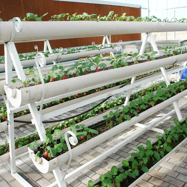 Tiled Hydroponic PVC Nft Hydroponics Irrigation Grow Tent Indoor Vertical Garden System