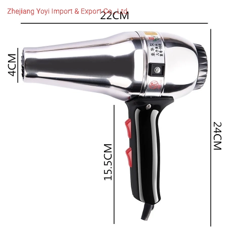 Special Fast Wind Speed for Barber Shop Hair Dryer