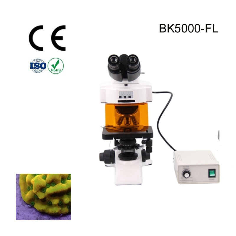 Proway Microscope Operating Training Fluorescence Microscope Manufacturer for Particle Microscopes